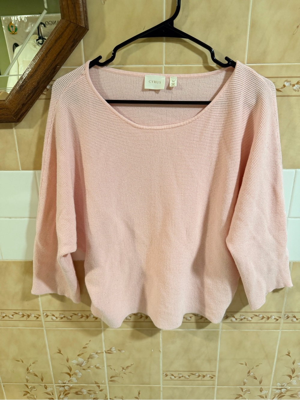 Cyrus Pale Pink Scoop Neck Knit Sweater